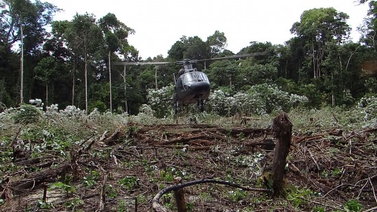 Selva amazônica _Crédito Dmavex