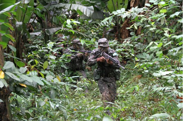 Exército Brasileiro participa de operação na fronteira com Guiana