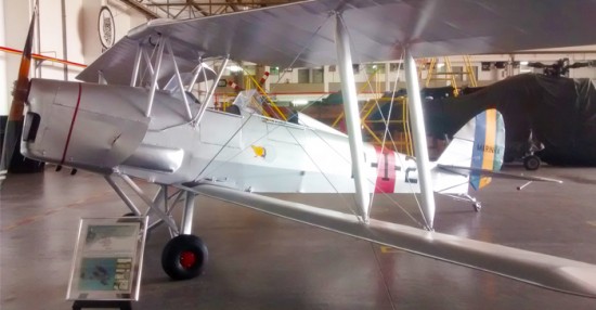 tigermoth