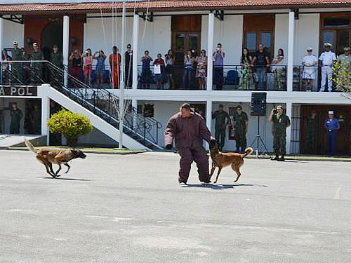 Cães recebem adestramento na Companhia de Polícia da Tropa de Reforço