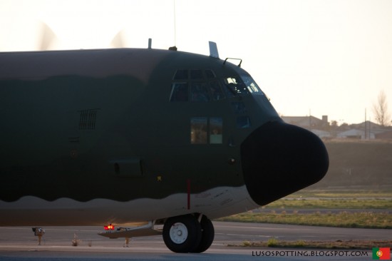FAP C-130 1