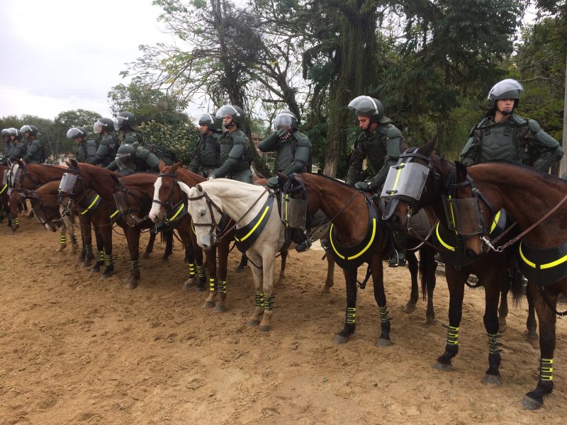 Curso de cavalaria: importância, cursos e mais!